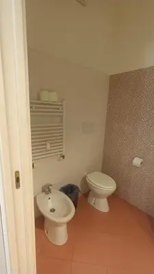 a bathroom with a toilet and a sink at Olimpo Apartments St John in Lateran in Rome