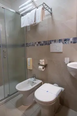 a bathroom with a toilet and a shower and a sink at Hotel Lirico in Rome