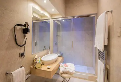 a bathroom with a shower and a sink and a toilet at Hotel Barocco in Rome