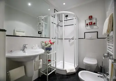 a bathroom with a shower and a sink and a toilet at Hotel Gregoriana in Rome