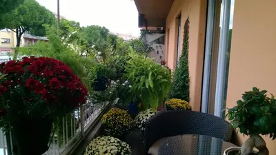a balcony filled with lots of plants and flowers at Gregorio VII Luxury Suites in Rome