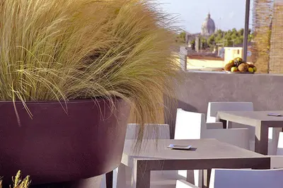 a large potted plant sitting on top of a table at Hotel San Francesco in Rome