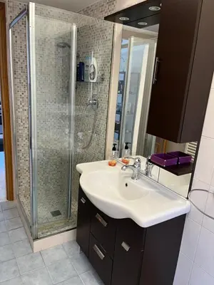 a bathroom with a sink and a shower at Red house in Monteverde - Cale 02 in Rome