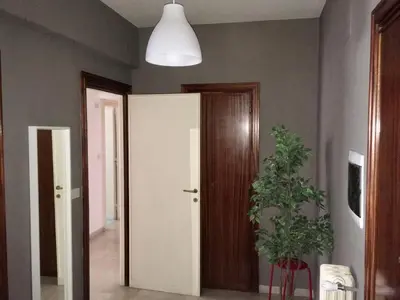 a hallway with a white door and a potted plant at La mia casa di Roma in Rome
