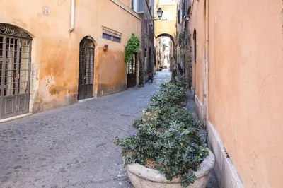 an alley with plants in large planters on the side of a building at Cozy Studio Campo dè Fiori in Rome