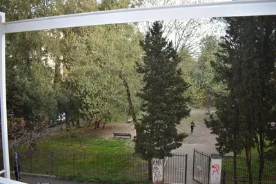 a view from a window of a park with a pine tree at Gallery House 59 Guest House in Rome