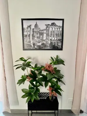 a plant in a black pot on a wall with a picture at PRIVATEHOUSEINROME in Rome