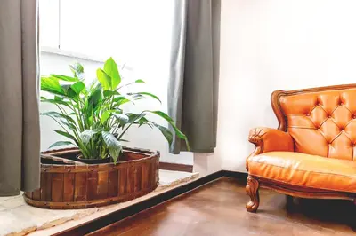 a living room with a chair and a potted plant at MyWay Colosseo Apartment in Rome