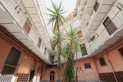 a palm tree in a building with a ceiling at [Roma Termini] - Suite elegante in Rome