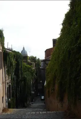 an alley with ivy on the side of a building at Nannì Vatican House in Rome