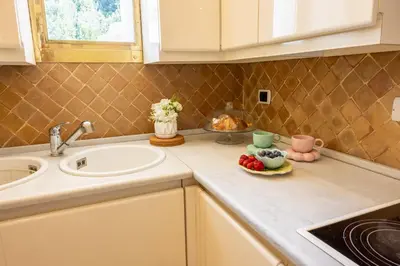 a kitchen counter with a sink and a plate of fruit at MB SUITES Margutta in Rome