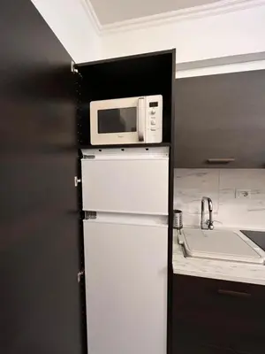 a microwave on top of a refrigerator next to a sink at Loft Villa Blanc in Rome